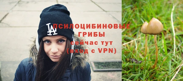 спайс Верхний Тагил