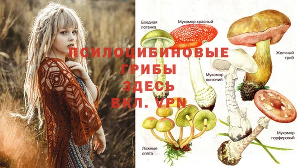 ешки Верея