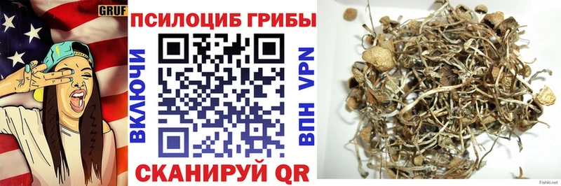 Псилоцибиновые грибы Psilocybine cubensis  мега зеркало  Инта 